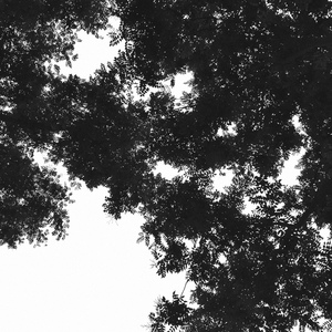 小小拗女性BBWⅩⅩⅩⅩ
